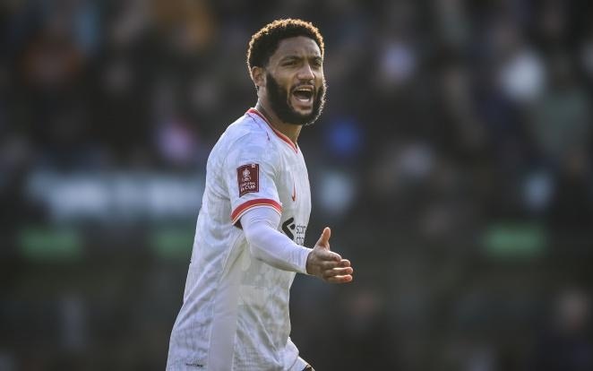 赖于身体素 赖于身体素